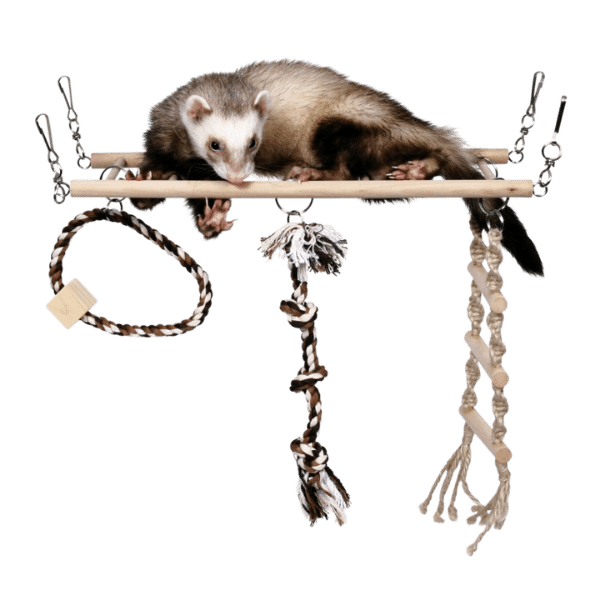 Trixie fa függőhíd kötéllel patkánynak és vadászgörénynek